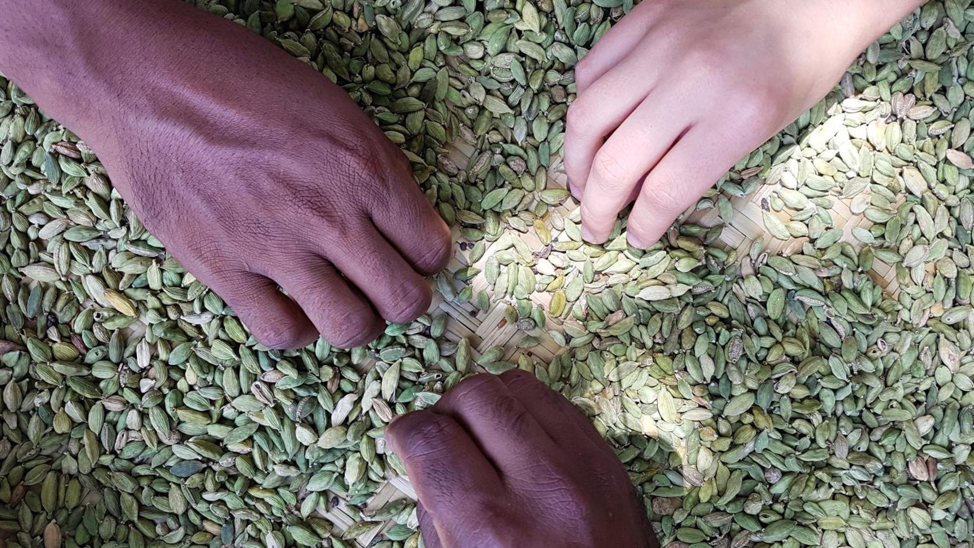 Singharaja Garden Agro Eco Lodge Pelawatta  エクステリア 写真