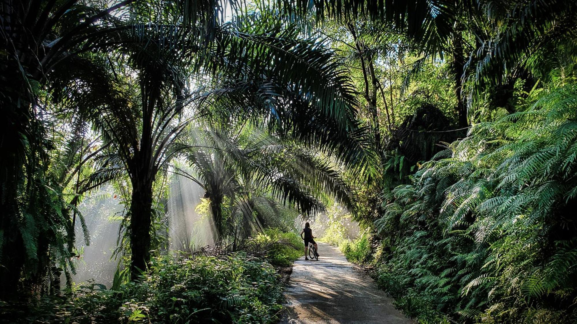 Singharaja Garden Agro Eco Lodge Pelawatta  エクステリア 写真