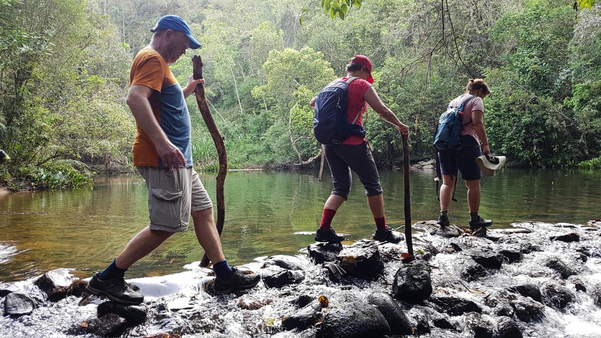 Singharaja Garden Agro Eco Lodge Pelawatta  エクステリア 写真