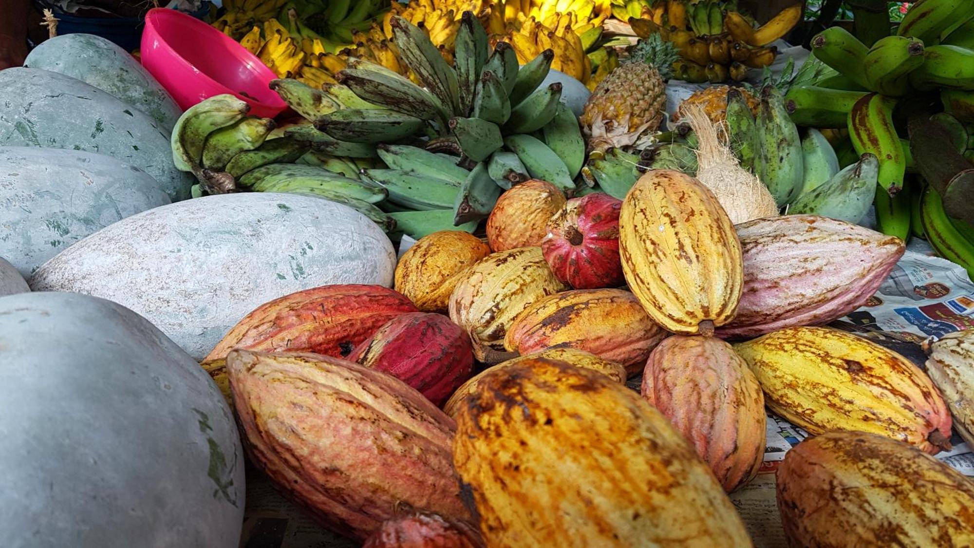 Singharaja Garden Agro Eco Lodge Pelawatta  エクステリア 写真