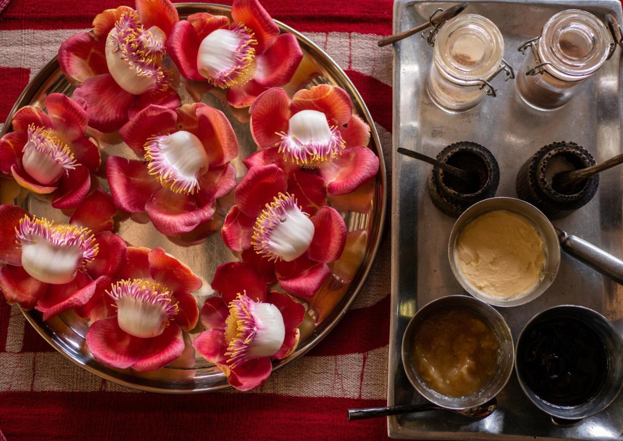 Singharaja Garden Agro Eco Lodge Pelawatta  エクステリア 写真