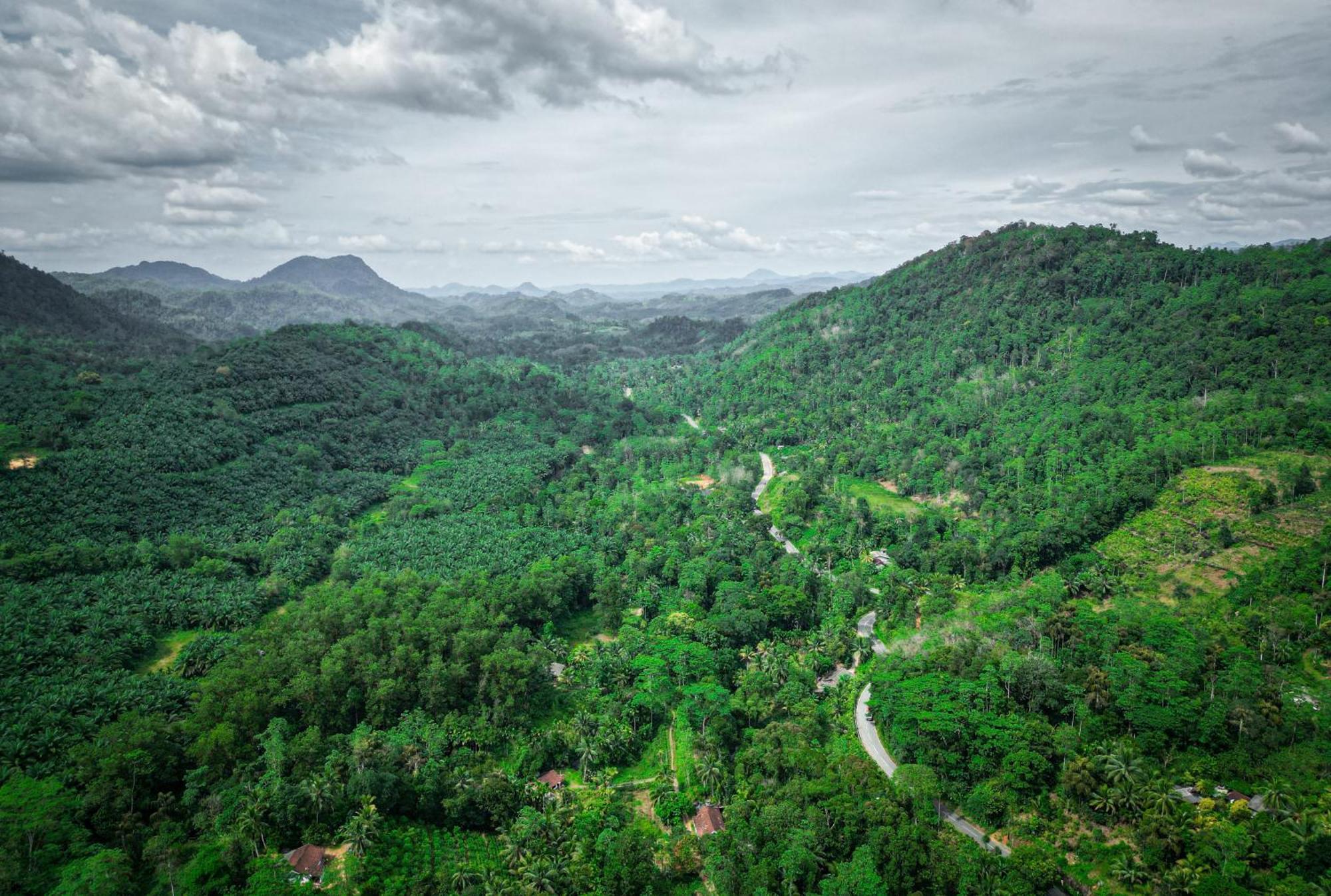 Singharaja Garden Agro Eco Lodge Pelawatta  エクステリア 写真
