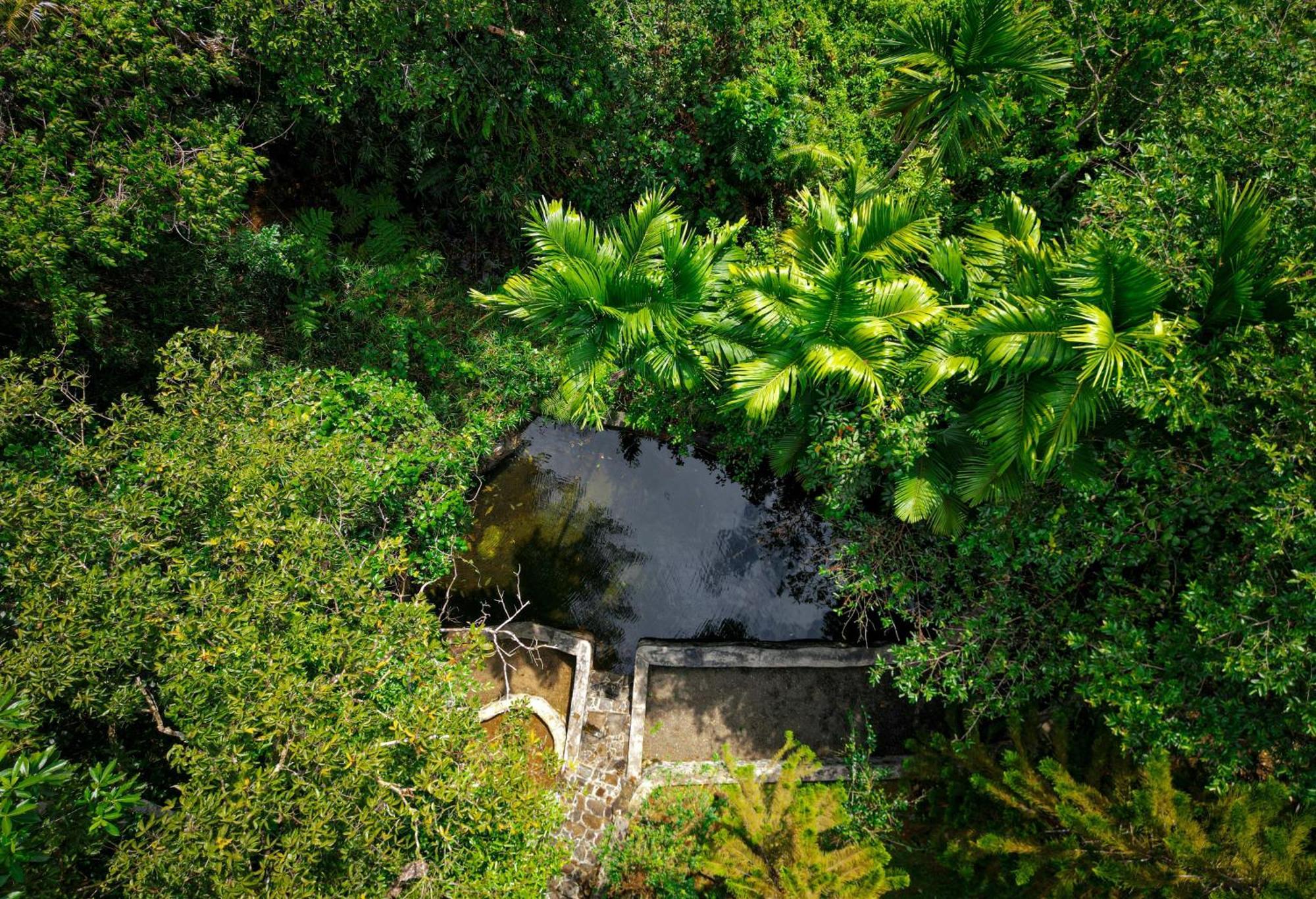 Singharaja Garden Agro Eco Lodge Pelawatta  エクステリア 写真