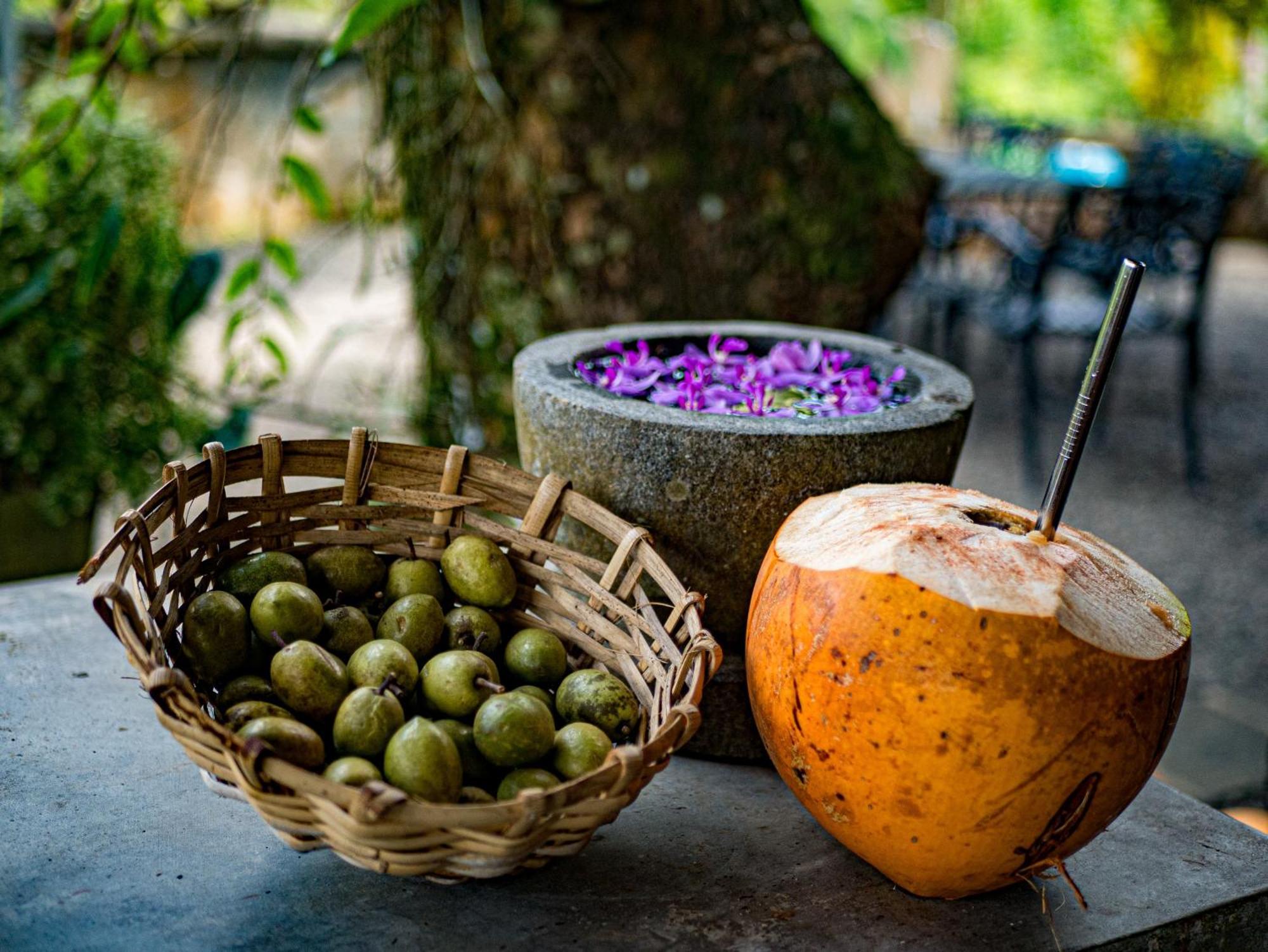 Singharaja Garden Agro Eco Lodge Pelawatta  エクステリア 写真