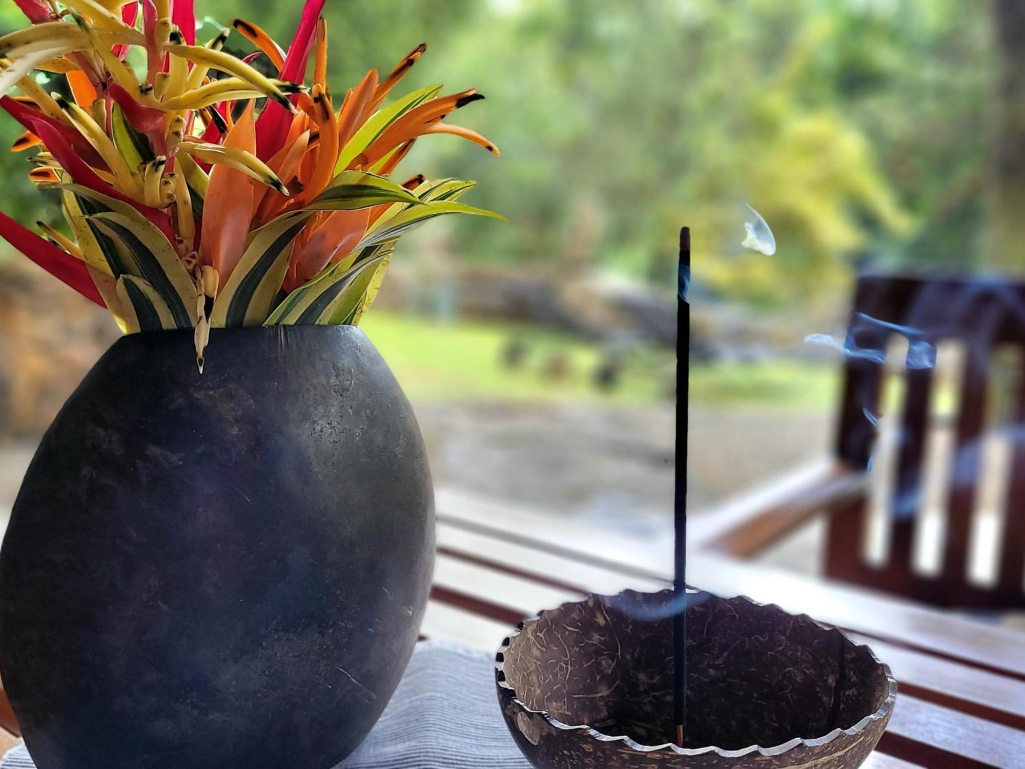 Singharaja Garden Agro Eco Lodge Pelawatta  部屋 写真