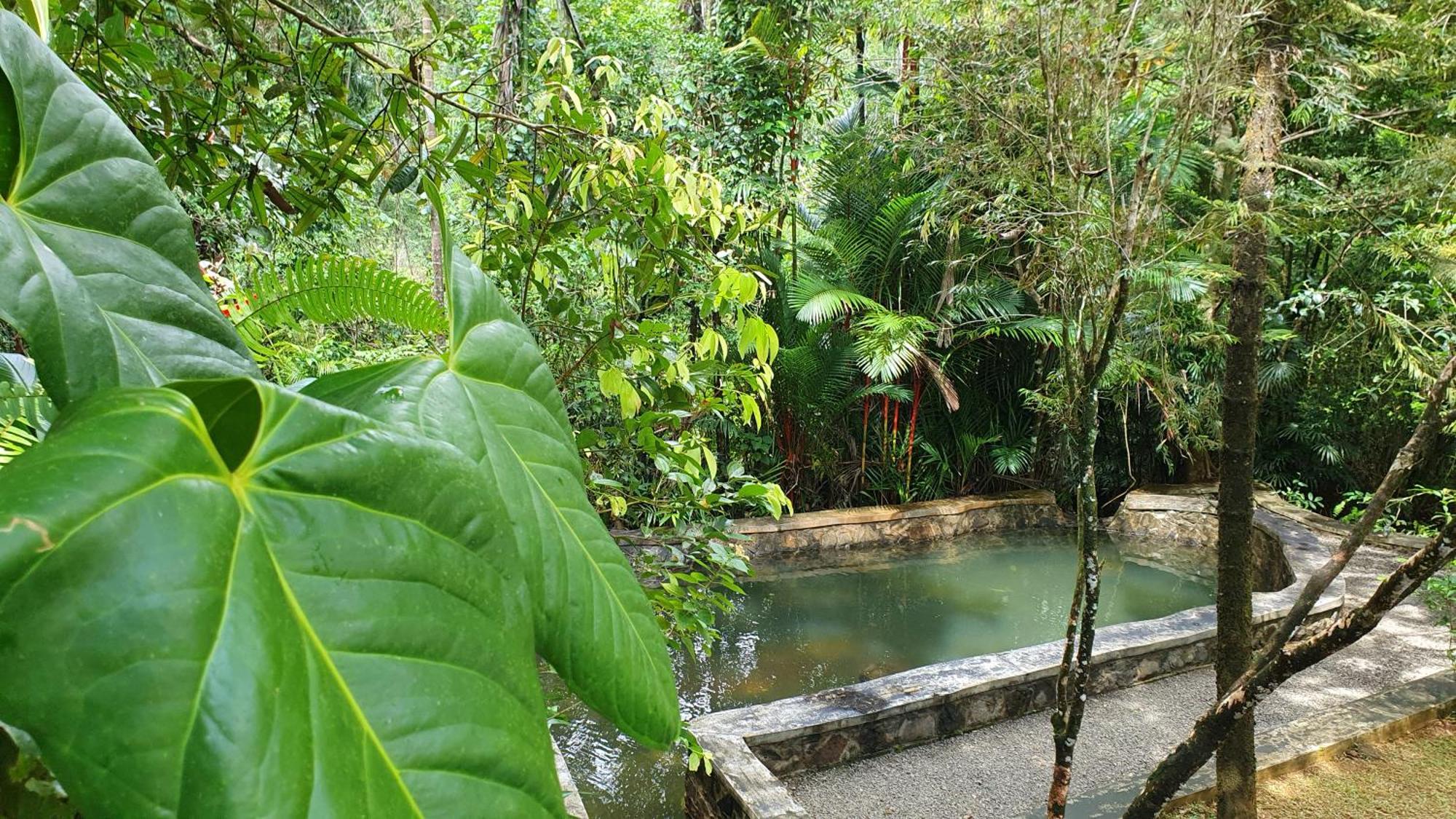 Singharaja Garden Agro Eco Lodge Pelawatta  部屋 写真