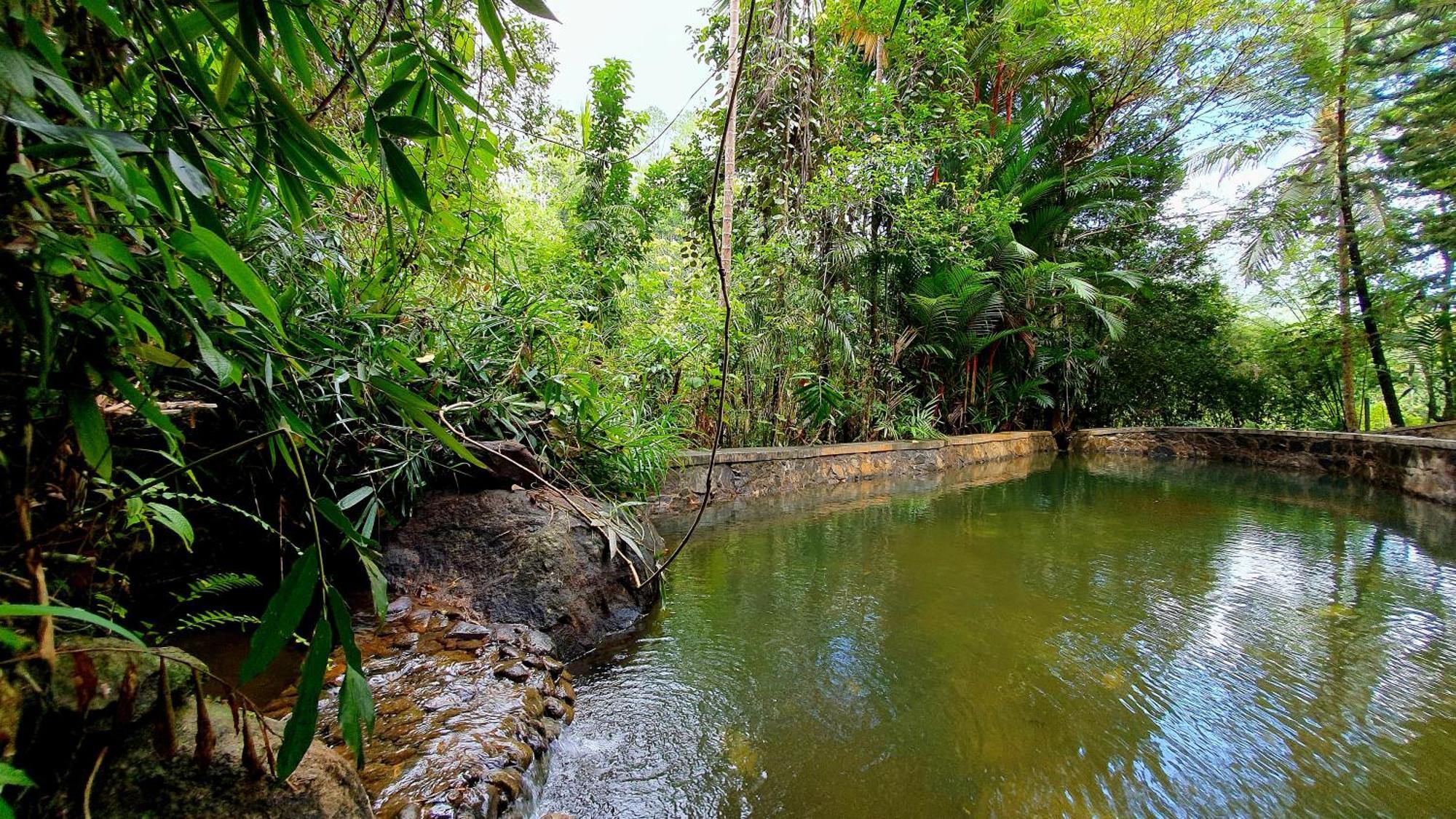 Singharaja Garden Agro Eco Lodge Pelawatta  部屋 写真